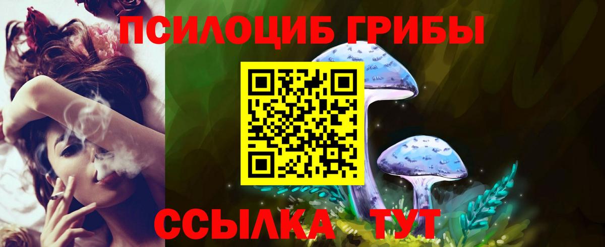 Галлюциногенные грибы мухоморы  Псилоцибиновые грибы мухоморы  Вход с VPN  купить закладку  Нефтекамск 